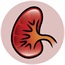 Poor Nepalese duped into selling kidneys