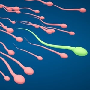 Sperm cells from Shutterstock