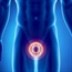 The function of the prostate