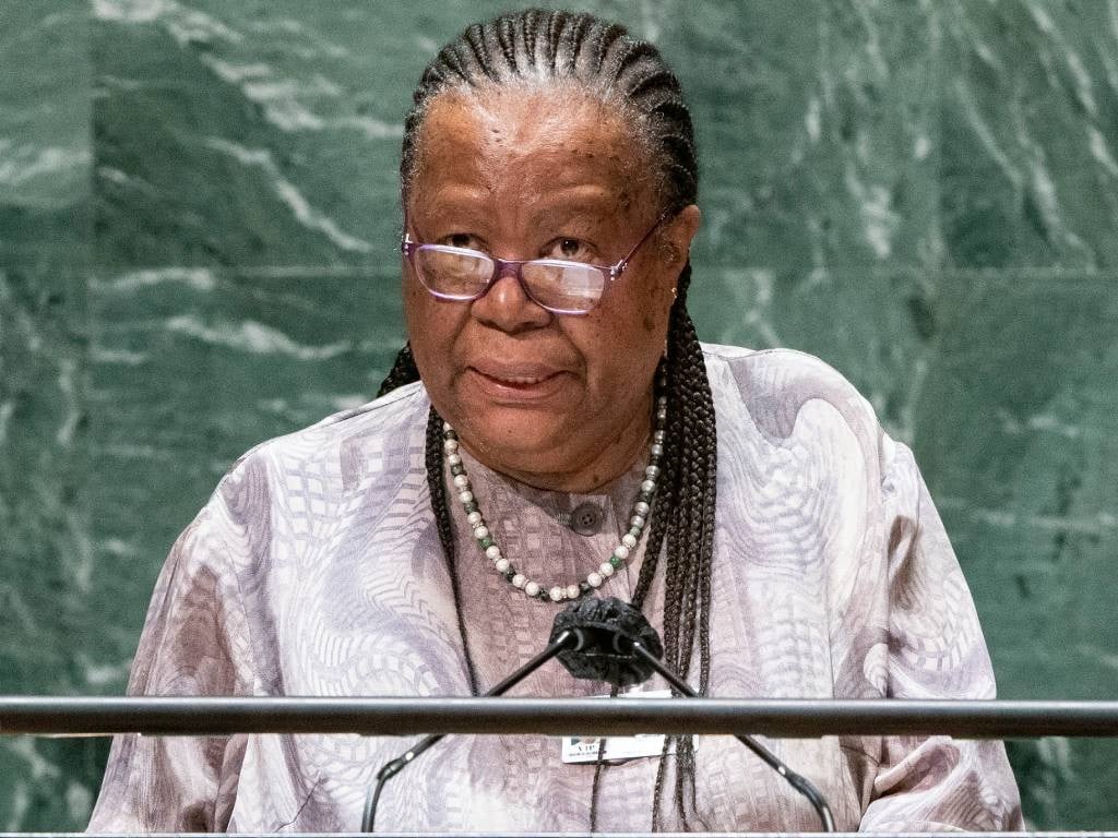 News24 | Pandor calls on ACDP to use contacts in Israel to 'stop the bombardment of the people of Palestine'