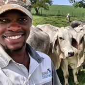 From volunteer to farmer – how this Cedara graduate took the bull by the horns