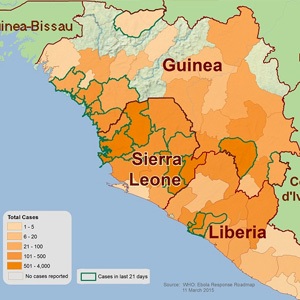 Source: WHO. Ebola cases in Guinea on 11 March 2015.
