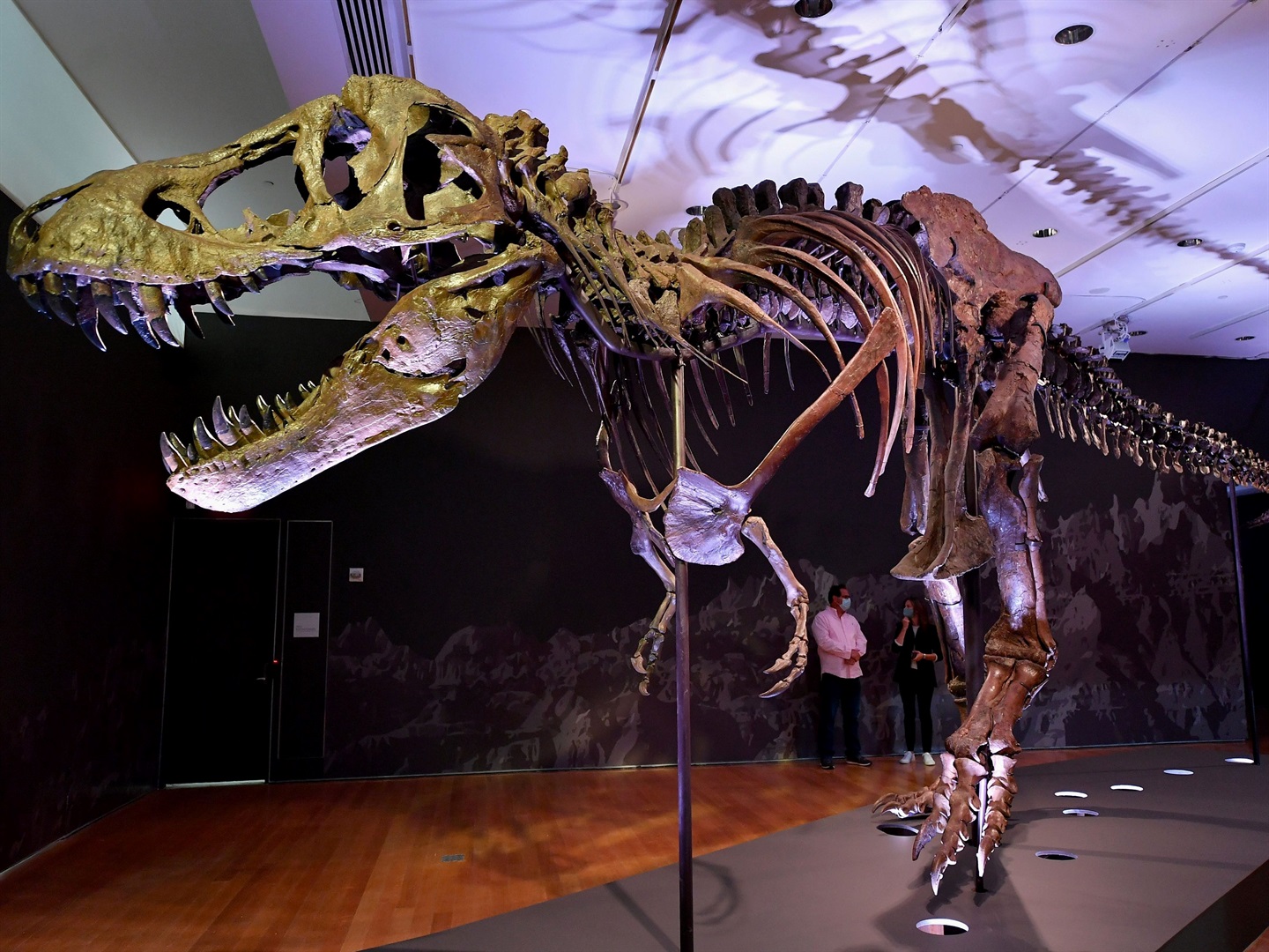 Christie's'te 189 milyon R'den fazla satılan yarı gerçek bir dinozor iskeleti