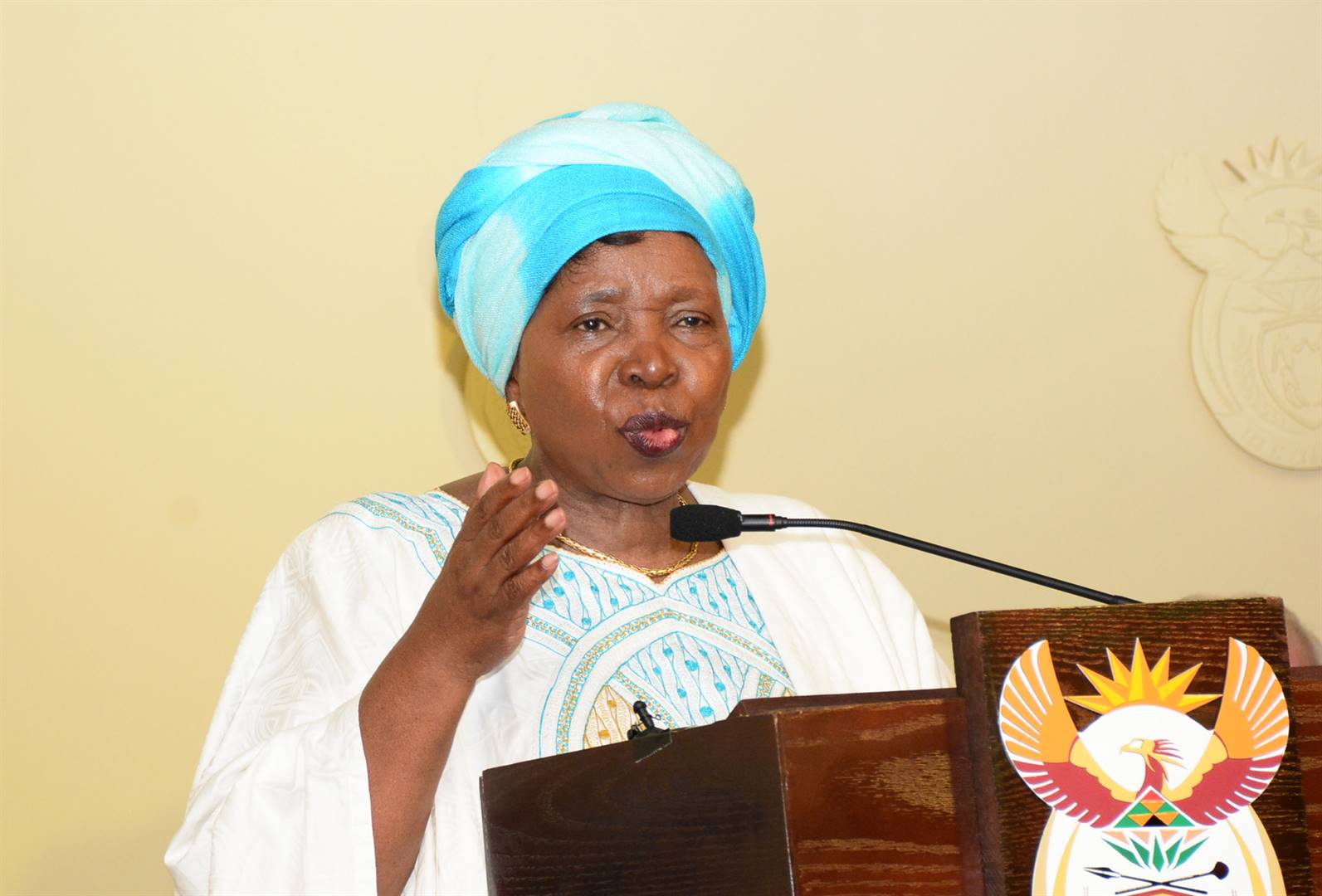 Cogta Minister Nkosazana Dlamini-Zuma 