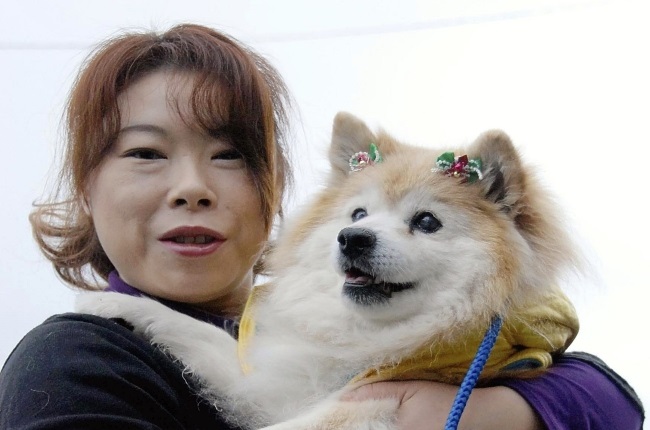 Pusuke, one of the oldest dogs to ever live(PHOTO: