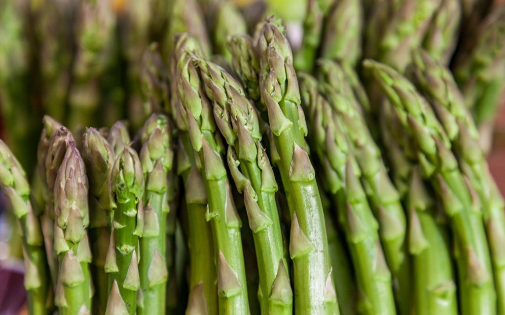 Some varieties of asparagus are not even grown in SA anymore.