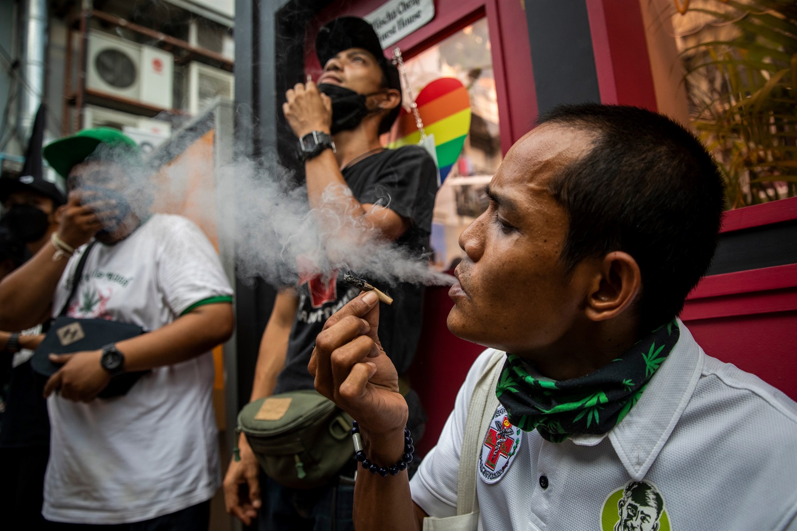 Тайланд марихуана как выглядят бошки у конопли