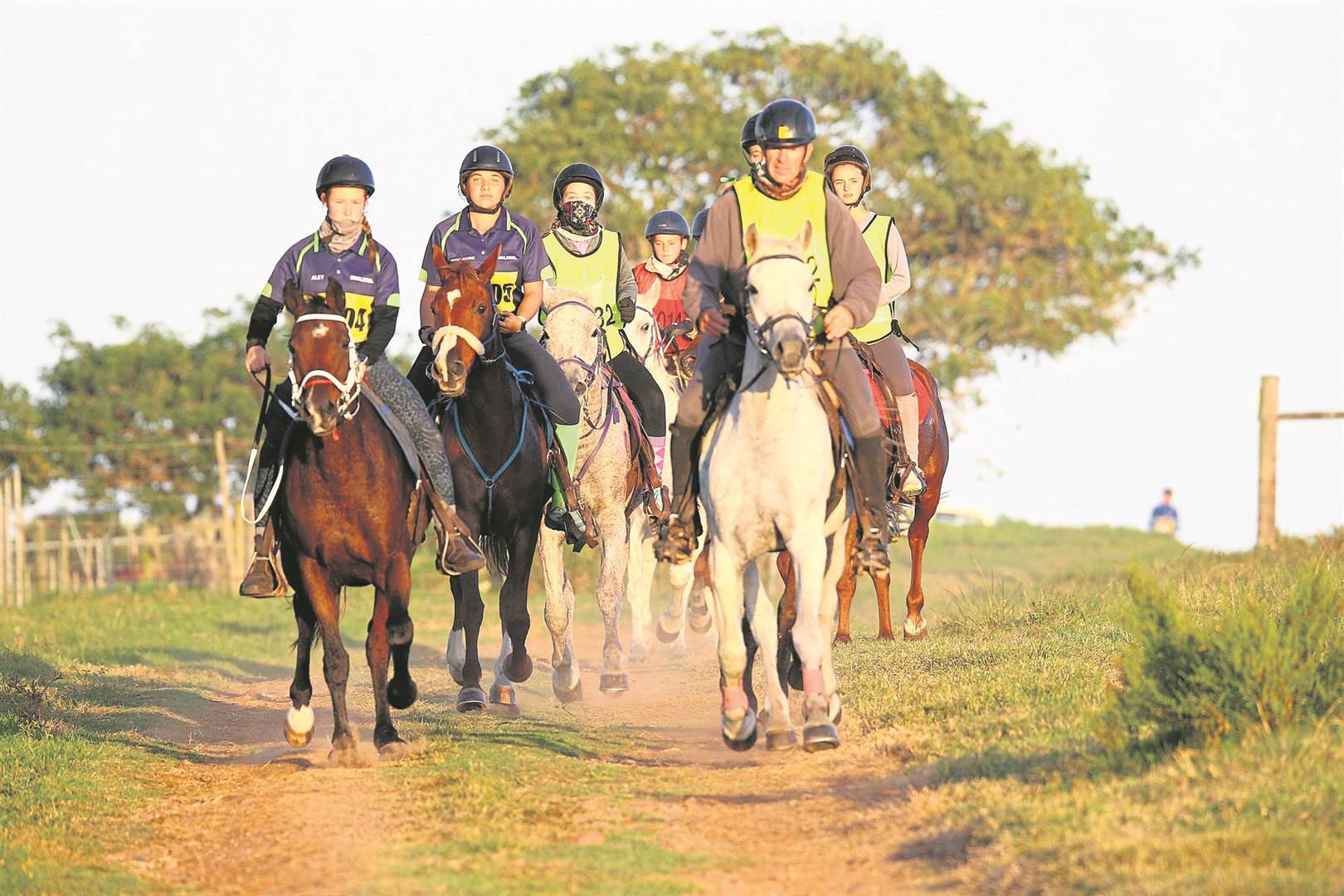 The Smaldeel Endurance Club brought 13 horses to compete in the 40km and 80km challenge at the Emerald Valley Endurance Ride. Photo: SUPPLIED