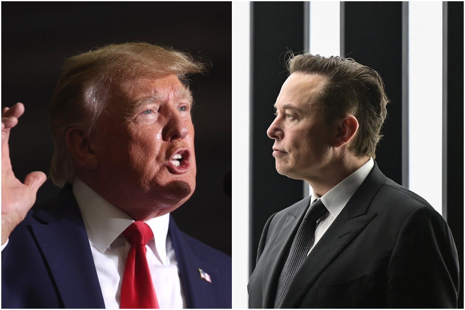 Elon Musk Says Trump Should 'hang Up His Hat & Sail Into The Sunset ...