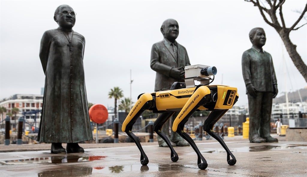 Spot  at V&A Waterfront on May 11, 2022 in Cape Town, South Africa. Spot is an agile mobile robot that navigates terrain with unprecedented mobility, allowing one to automate routine inspection tasks and data capture safely, accurately, and frequently. (Photo by Gallo Images/Brenton Geach)