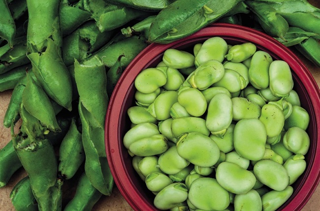 Garden tasks: Sow your broad beans before winter comes