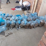 Police nab suspects and confiscate abalone worth millions 