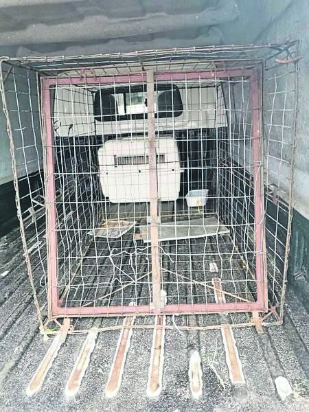 Animal rescue plea for return of stolen trap