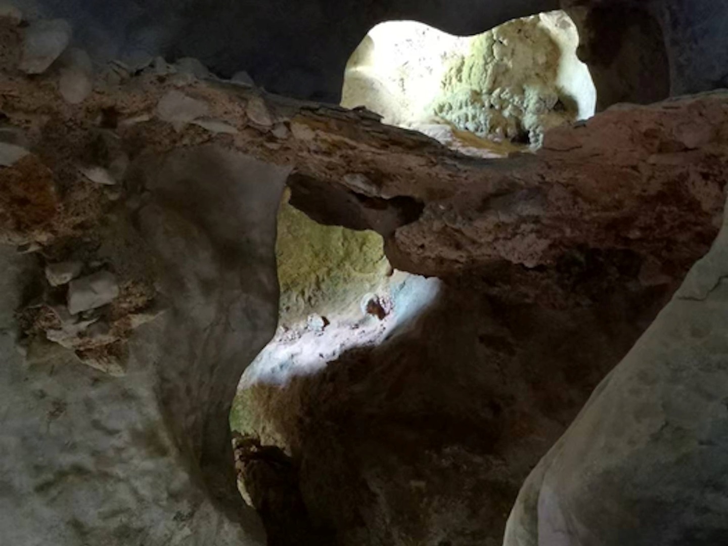 The inside of the cave is shown here.