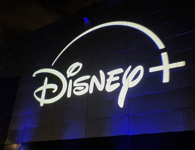 Disney+ launches in South Africa.