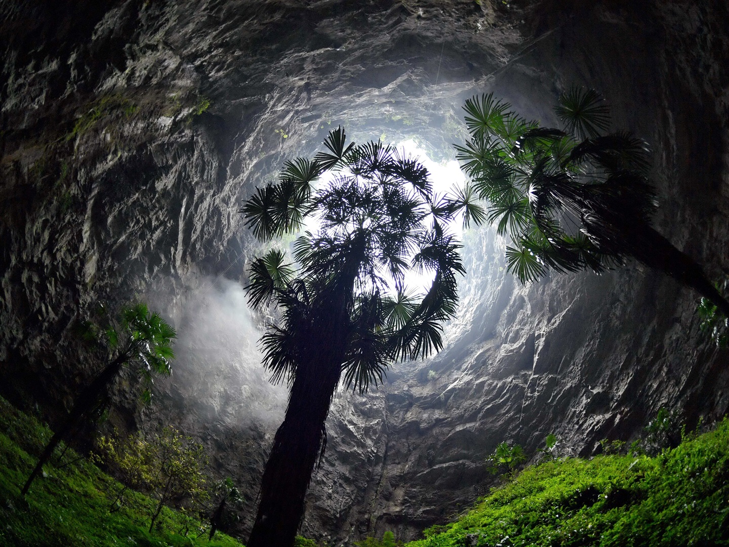 View from the bottom of a giant sinkhole in China.