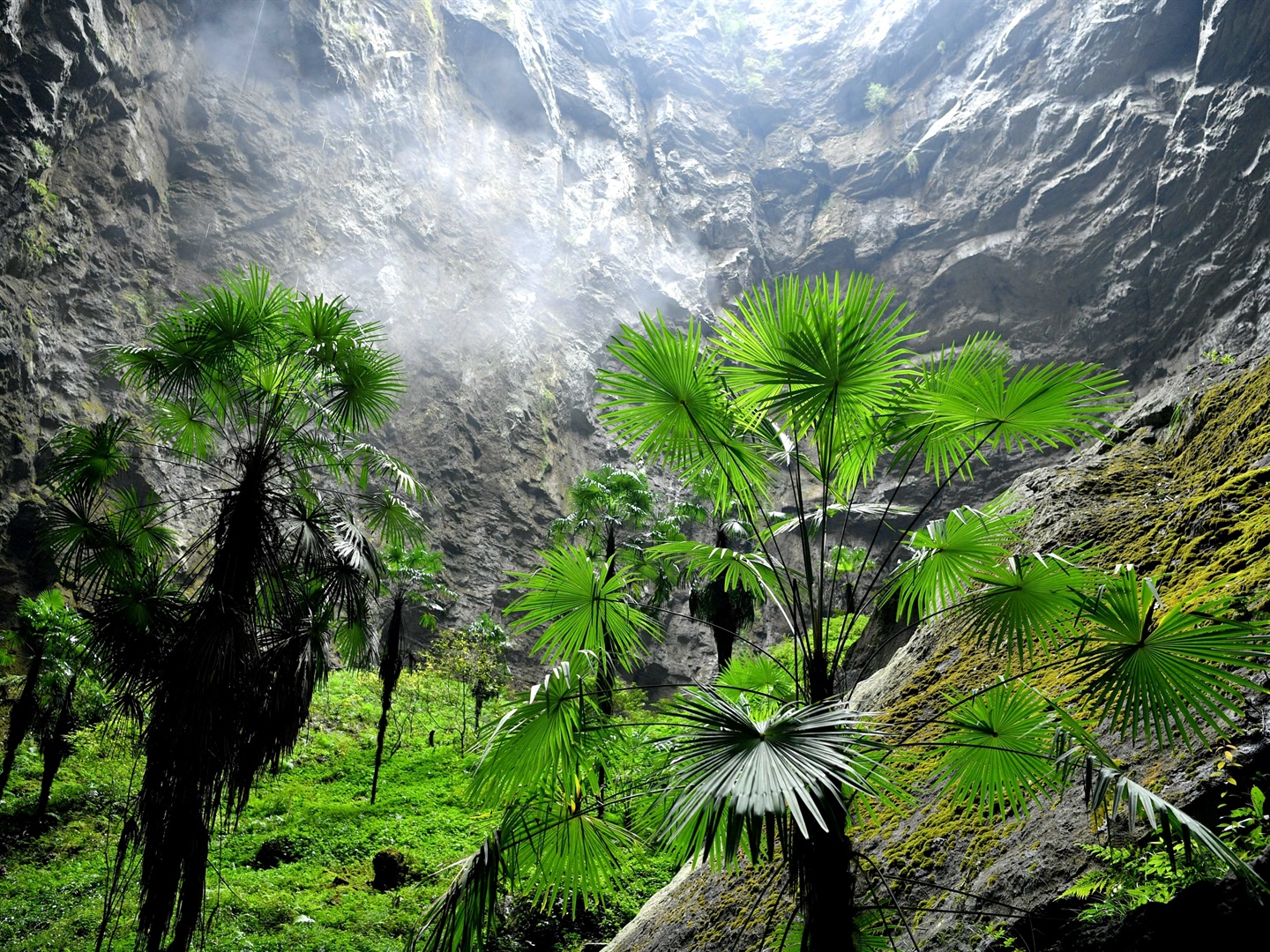 Trees in Tianqen, or giant karst pit, in China.  Wen / Xinhua Song via Getty Images