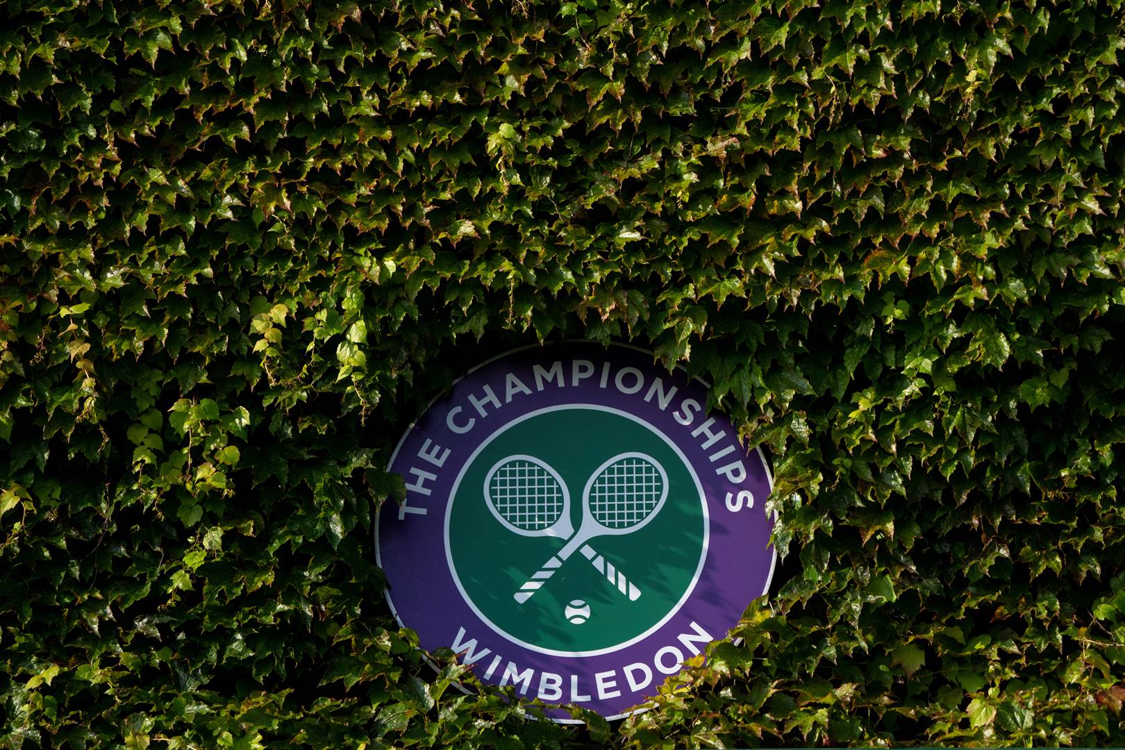 Die Wimbledonse grasbaantoernooi is een van die oudstes in die sport se geskiedenis.  Foto: Getty Images