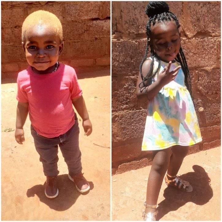 Siblings Siyamthanda (2) Siphokuhle (4) perished in a shack fire in Orange Farm, South of Joburg. Photo supplied. 