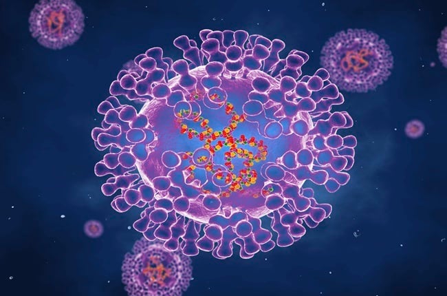 Pox virus, illustration. Pox viruses are oval shaped and have double-strand DNA. There are many types of Pox virus including Chickenpox, Monkeypox and Smallpox. Smallpox was eradicated in the 1970s. Infection occurs because of contact with contaminated animals or people and results in a rash or small bumps on the skin.