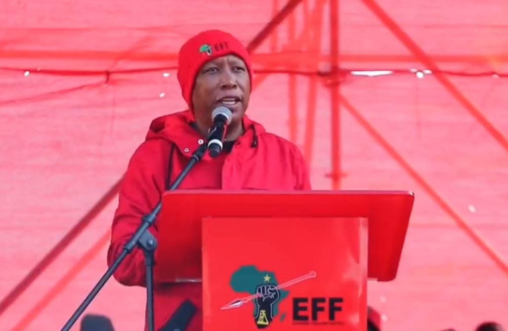 EFF leader Julius Malema addresses at the Freedom Charter Day Rally.
