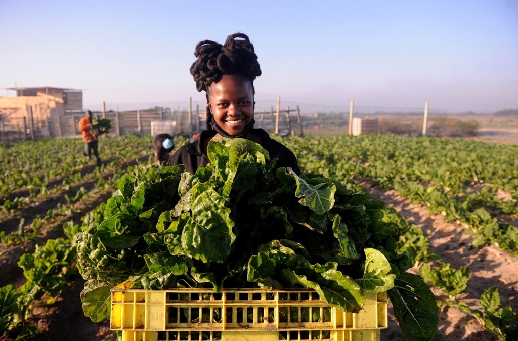 SPINASIE VIR DIE NASIE. Ncumisa Mkabile verkoop weekliks sowat 1 000 bossies spinasie aan die informele en formele mark. Foto: VERSKAF