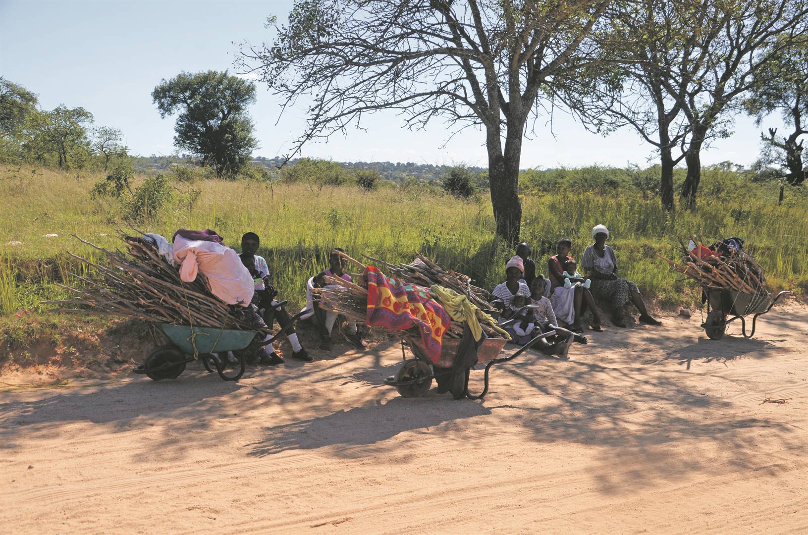 Poor mums Anitjie Mhangana, Thobile Mathebula and Luzile Mogale, sitting with their babies and their other kids, walk through the dangerous bushes looking for firewood to cook.