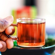 Rooibos industry pays out R12m to Khoi and San