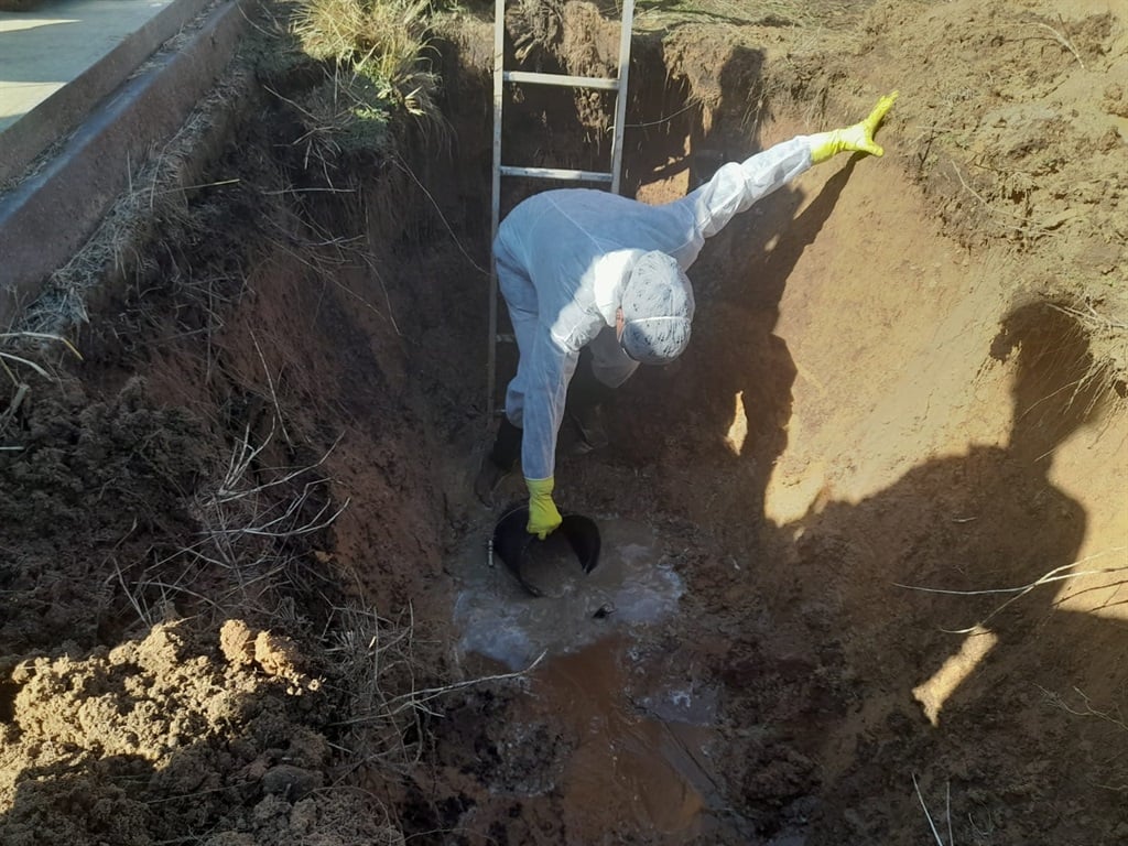 A forensic expert removing water from the grave where James Booi was buried in 1966.