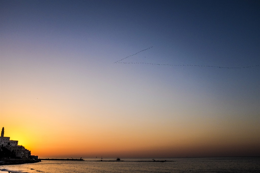'n Swerm voels vlieg in n V-formaat oor die Mediterreense see in Tel Aviv. Foto: Conrad Bornman