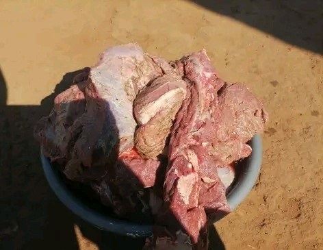 Community members from Mavambe village in Limpopo turned a troublesome hippo into a meal.