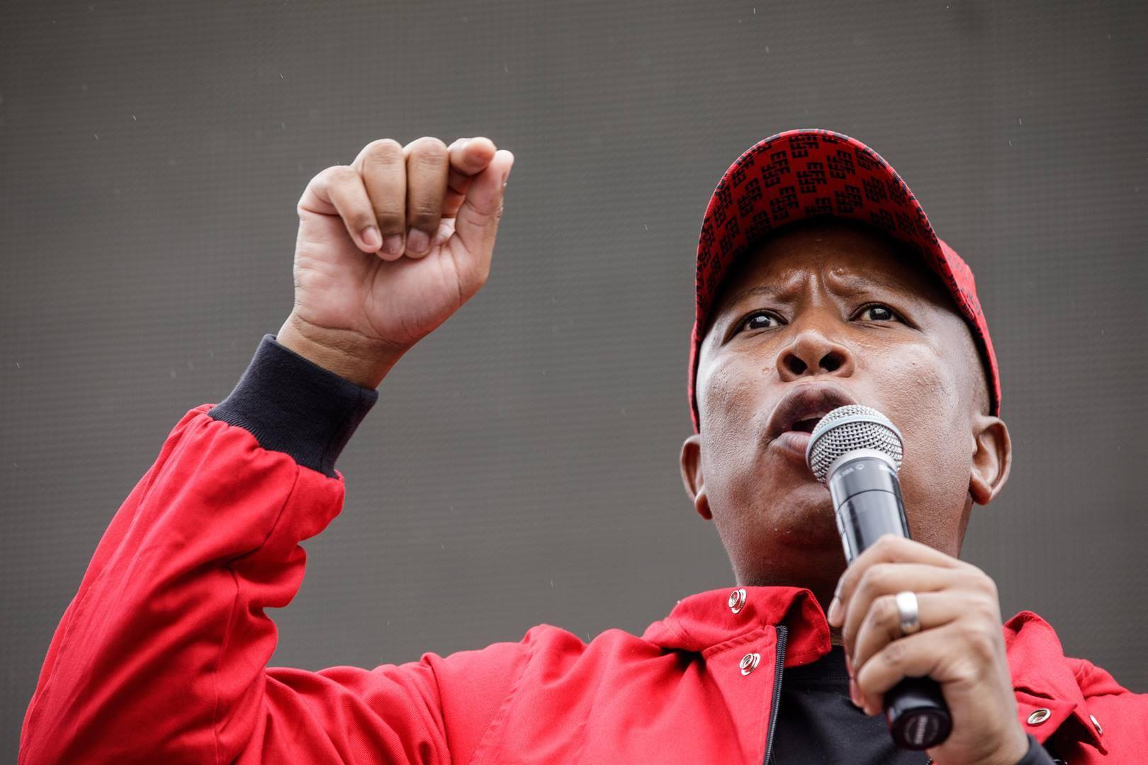 Julius Malema, leier van die EFF. Foto: Getty Images