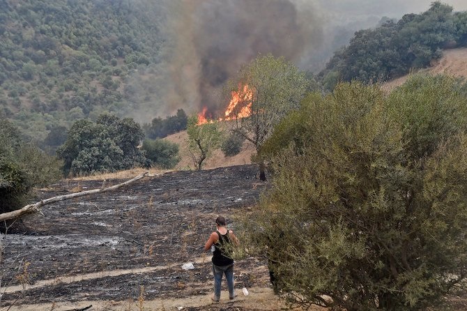 Forest fires in Algeria have left at least 26 people have died and dozens of others injured.