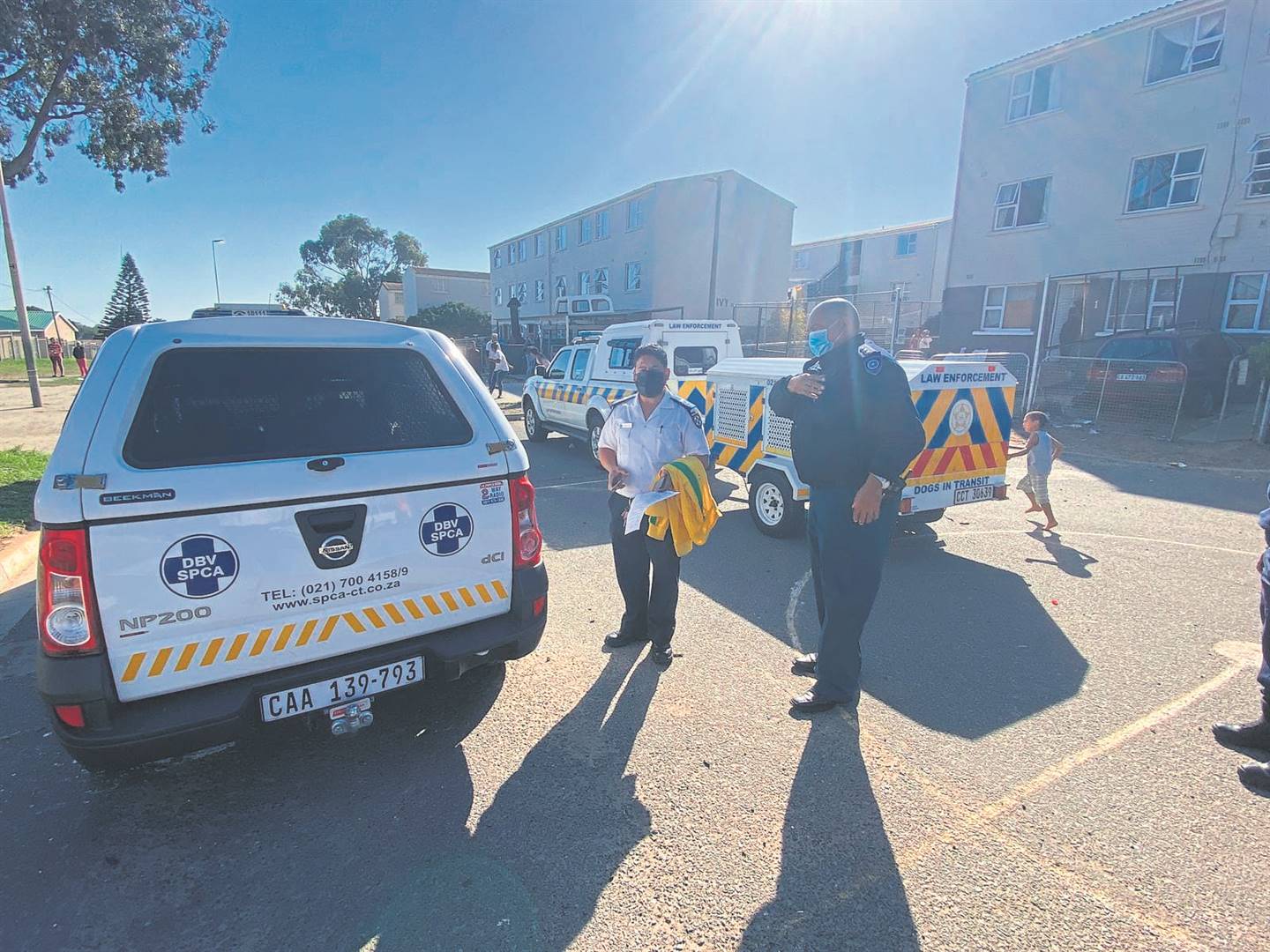 SPCA officials removed three pit bulls from a property in Ocean View on Friday 10 June.PHOTO: SPCA