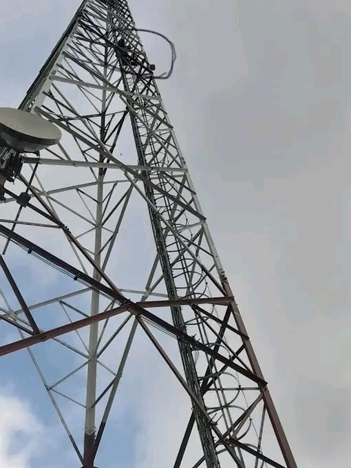 Two wrongfully accused Telecoms officials climbed to the top of this aerial tower to save their lives from a mob in Limpopo.