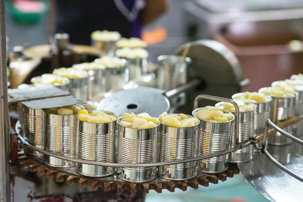A shot of canned pineapples in production line on conveyor belt awaiting to be seamed by can seamer. Getty Images. 