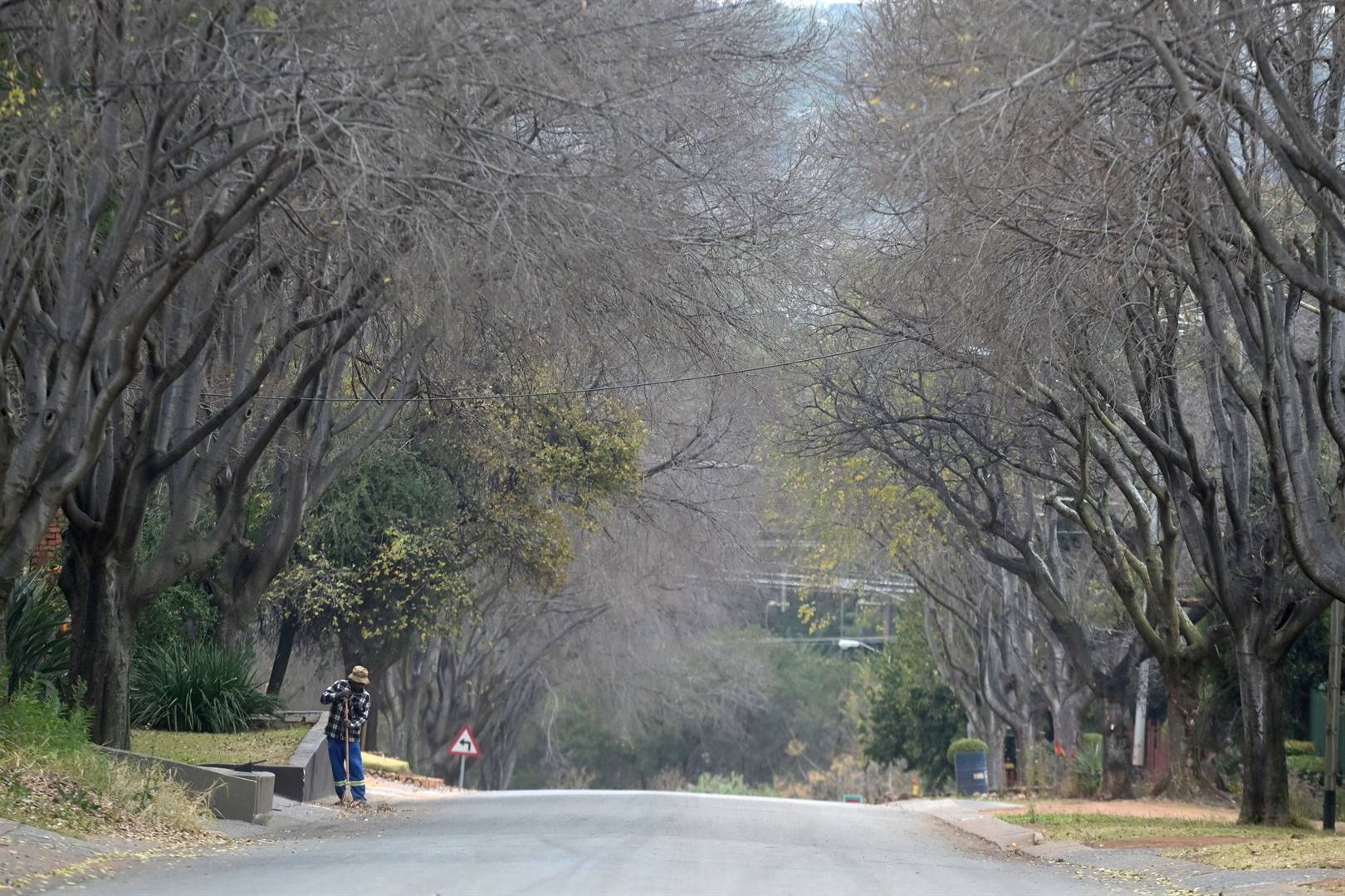 ’n Werker vee blare in Ulundilaan in Mountainview, Pretoria, waar die meeste bome reeds al hul blare vir die winter afgeskud het. Foto: Deaan Vivier