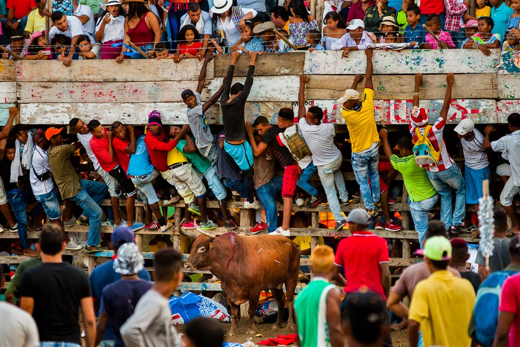 Colombian amateur bullfighters climb on the bleachers while taunting a bull in the arena of a Corraleja bullfighting festival in Soplaviento, Colombia. (Photo by Jan Sochor/Getty Images)