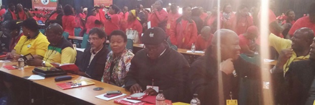 Minister of Economic Development Ibrahim Patel and Minister in the Presidency Susan Shabangu pictured at the Cosatu special national congress. (Photo: News24/Mpho Raborife).&nbsp; 