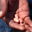 A matter of life and death: SA runs out of HIV medicine