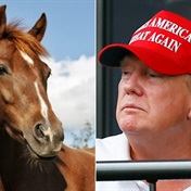 Trump once tried to pay his attorney's legal fees with a horse, according to upcoming book