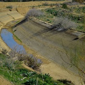 Tunisia drought threatens 'catastrophic' grain harvest
