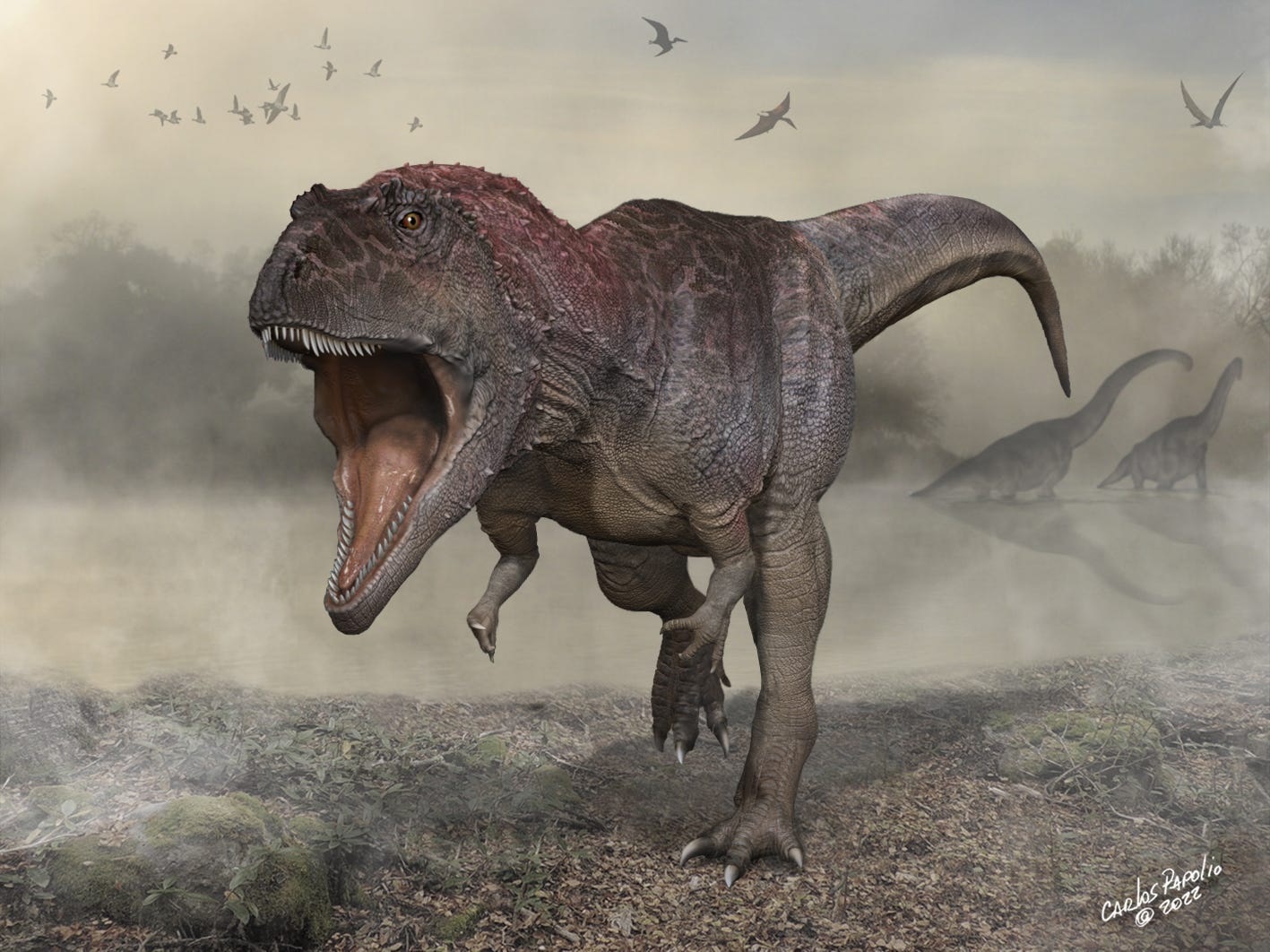 Bilim adamları, T. rex gibi küçük kolları olan devasa bir dinozor buldular ve bu, neden bu şekilde evrimleştiklerinin gizemini derinleştirdi