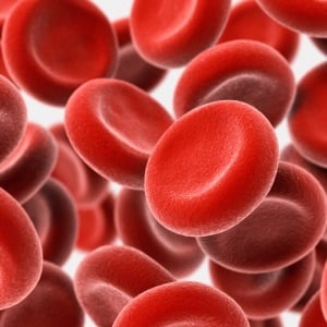 Red blood cells – iStock