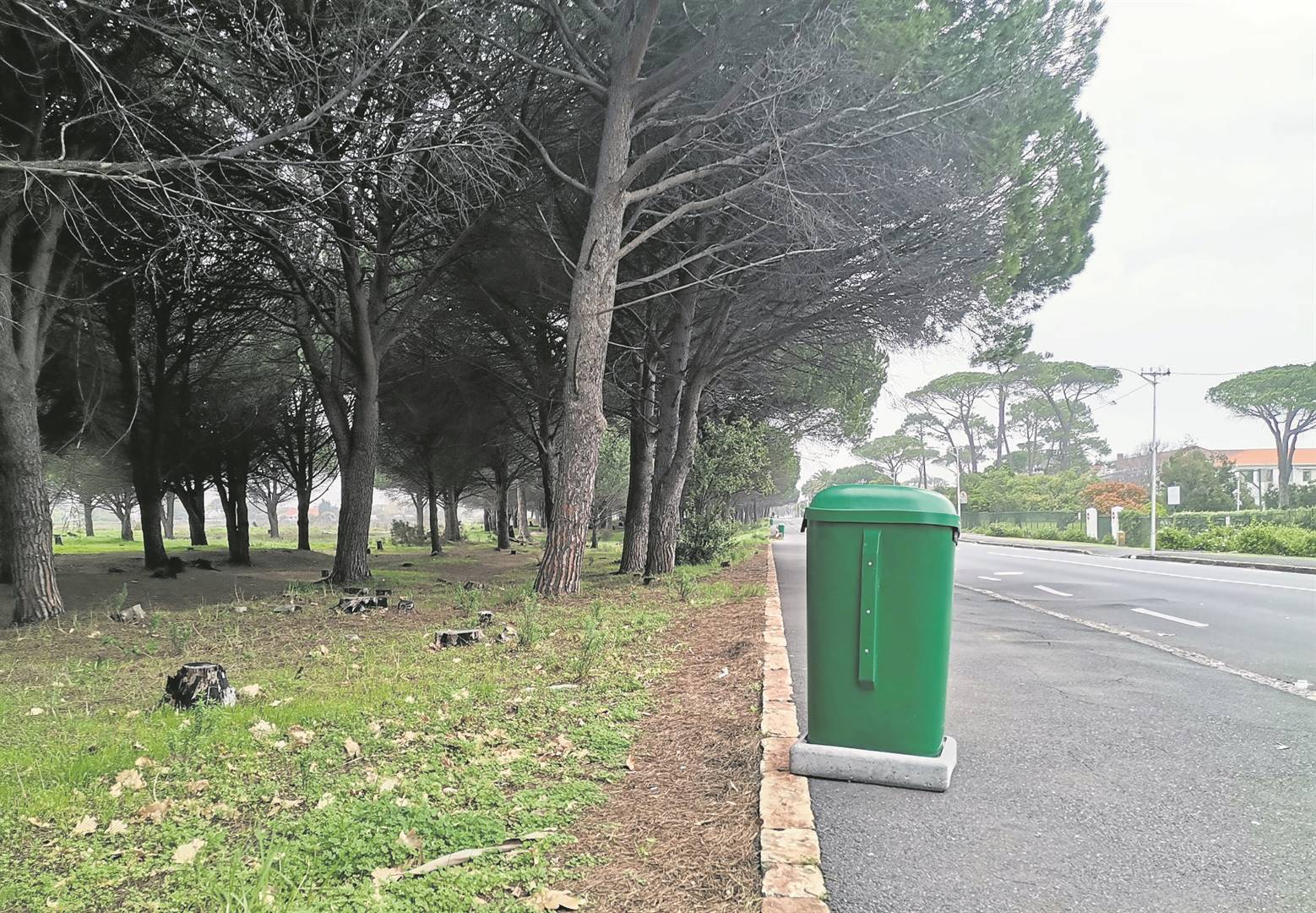 The green bins at Rondebosch Common are there to stay, for now.PHOTO: Nettalie Viljoen