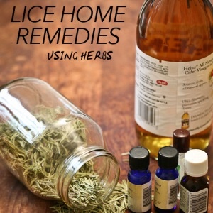 Home remedies for head lice | Life