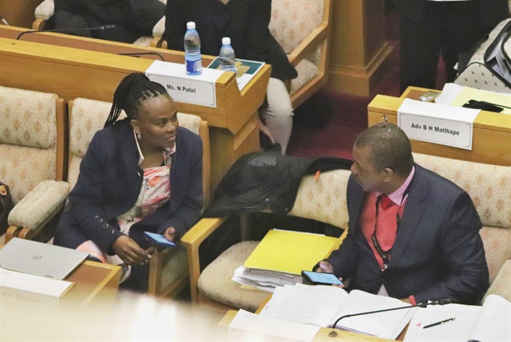 In his cross-examination, Mpofu said there was nothing wrong with asking for a constitutional amendment, and that many South Africans did it all the time. Photo: Jan Gerber/News24