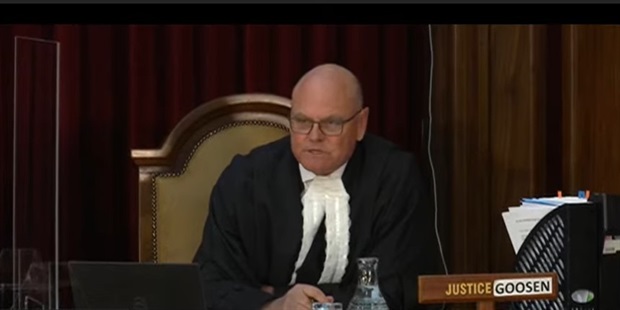 <p>Dambuza says it is crucial for the SCA to understand how Fraser evaluated the medical reports that came before him in evaluating the rationality of his decision. </p><p>Goosen adds that the absence of a full record in this case (because of Zuma's insistence that his medical records must not be fully disclosed to the court, even on a basis that prevented their public disclosure) may mean that "the appeal cannot succeed" - because the court cannot find that Fraser's decision was rational. </p><p>Plasket supports this contention and says that Fraser "now has a great deal of difficulty" in justifying his decision. It is not good enough for Fraser to say "trust me", Plasket adds.</p><p>- Karyn Maughan&nbsp;</p>