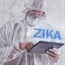 Europe creates Zika drug 'task force'