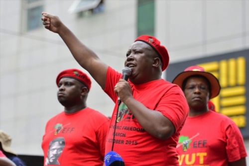 EFF Leader Julius Malema. Photo by Gallo images 